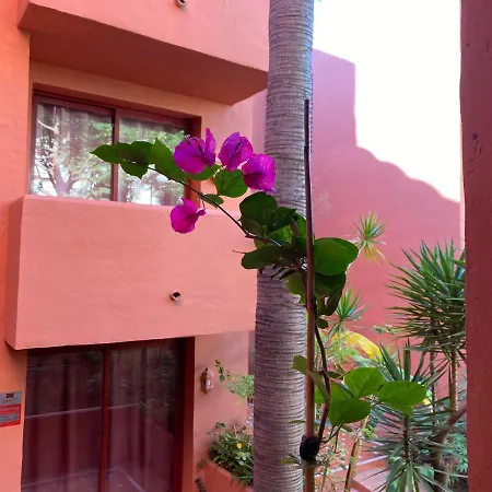 Apartment Don Carlos Marbella